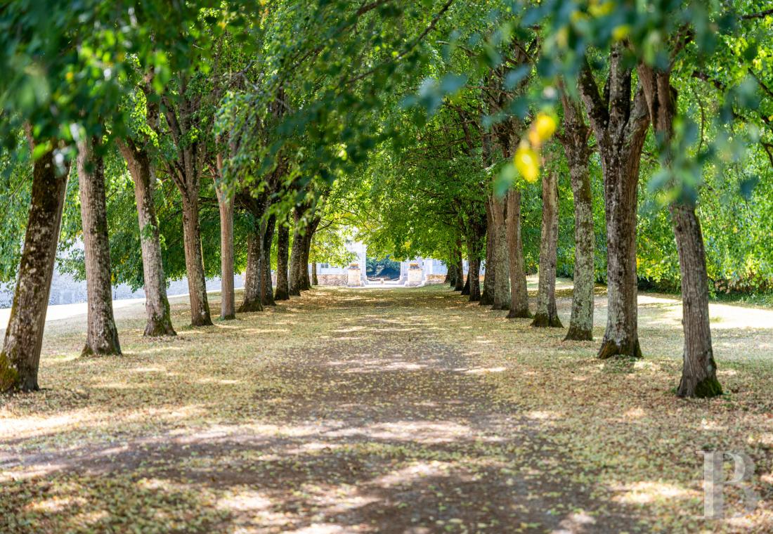 chateaux a vendre centre val de loire   - 25